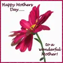 Happy Mothers Day