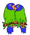 Parrots
