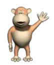monkey saying Hi