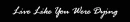live like you were dying