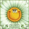 Smiling Daisy
