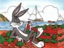 bugs and carrots