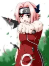 sakura