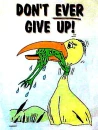 dont give up