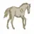 Horsey Running