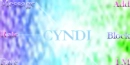 cyndicontact