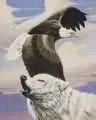 wolf and eagle #5