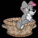  a doggie in a basket