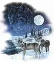 wolves standing in the snow