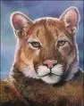 cat picture #11