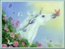 butterfly-kisses 1