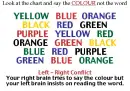 Colour Fun