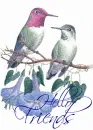 Hello Friends