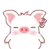 heyheypig