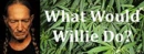 What Would Willie Do