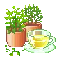 cup of tea