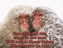 Best Friend Forever