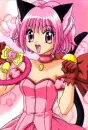 tokyo mew mew power