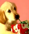 Sweety!!