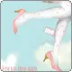 girly avatar