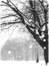 falling snow