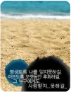 on the beach
