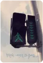 green light you can cross