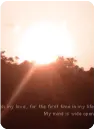 lovely sunrise