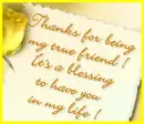 Friendship