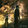 HIM - The Funeral Of Hearts