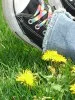 Converse= <3