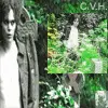 HIM - Gone With The Sin