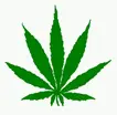 weed