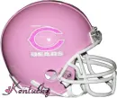 Chicago Bears Pink Helmet with Name