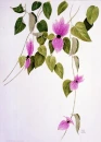 Pretty Flower