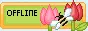Offline Icon