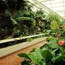 Flower Trail