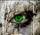 green eyed monster