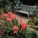 Garden Bench