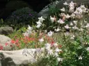 Rock Garden