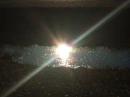 my trip