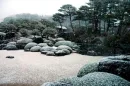 japanese garden
