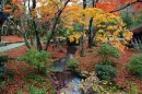 Japanese Garden