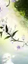 PIXIE FLOWERS