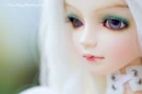 doll