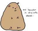 hamster