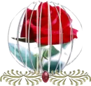 Rose globe