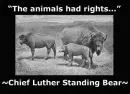 The animals had rights