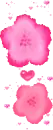 pink flowers
