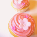 cute kawaii yummy cuppy cake